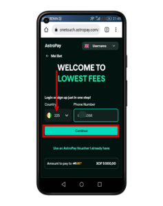 remplir le formulaire